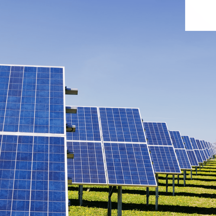 Blue Raven Solar saves thousands by switching to PandaDoc