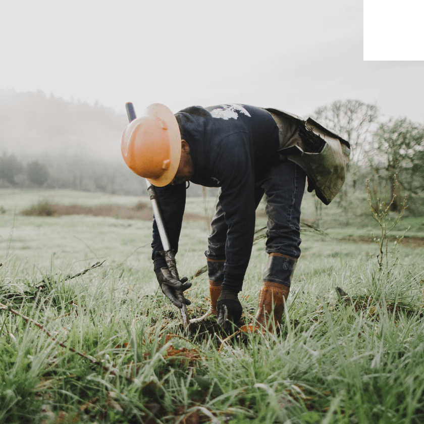OneTreePlanted reduced time spent creating agreements by 92%