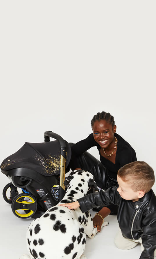 s*♡様 美品 doona ＋ ドゥーナ 特別限定モデル リミテッドゴールド Amazon | doona ISOFIX・シートベルト固定両対応 インファントカー