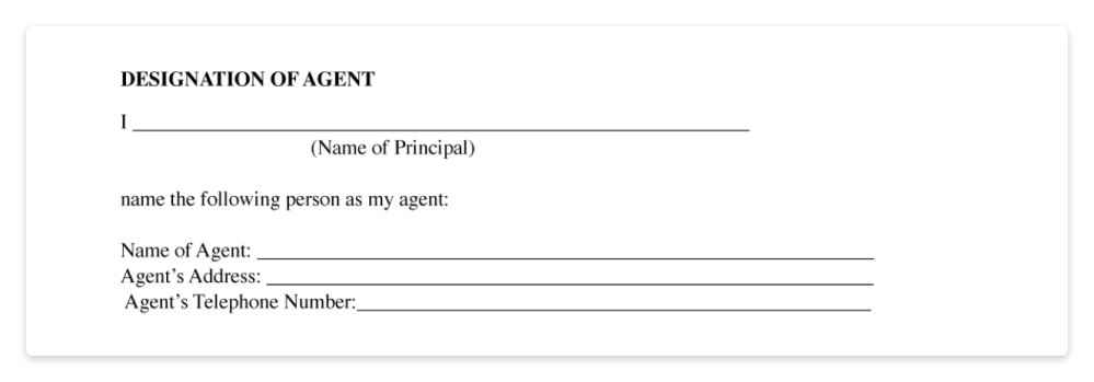 agent-designation