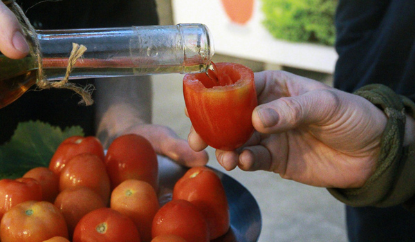 Person pouring liquid into a halved tomato, with a tray of fresh tomatoes in the background, at Fridheimar greenhouse.