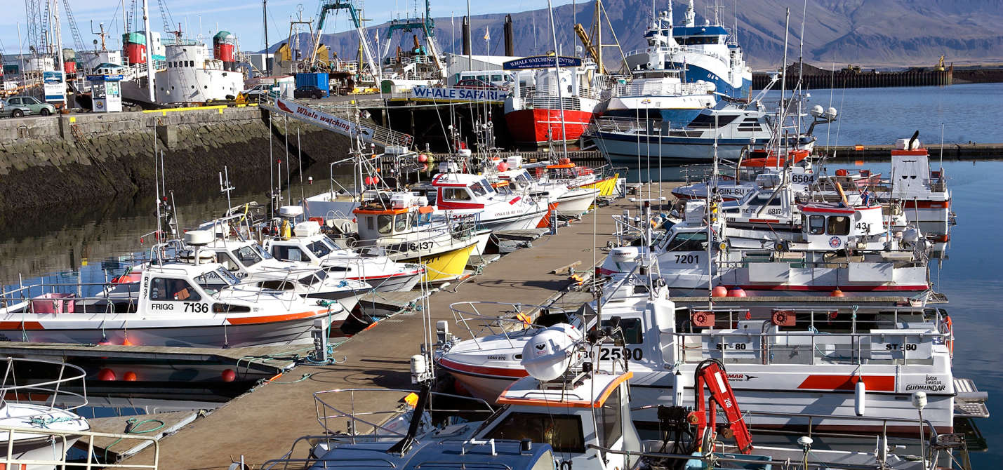 reykjavik-harbour