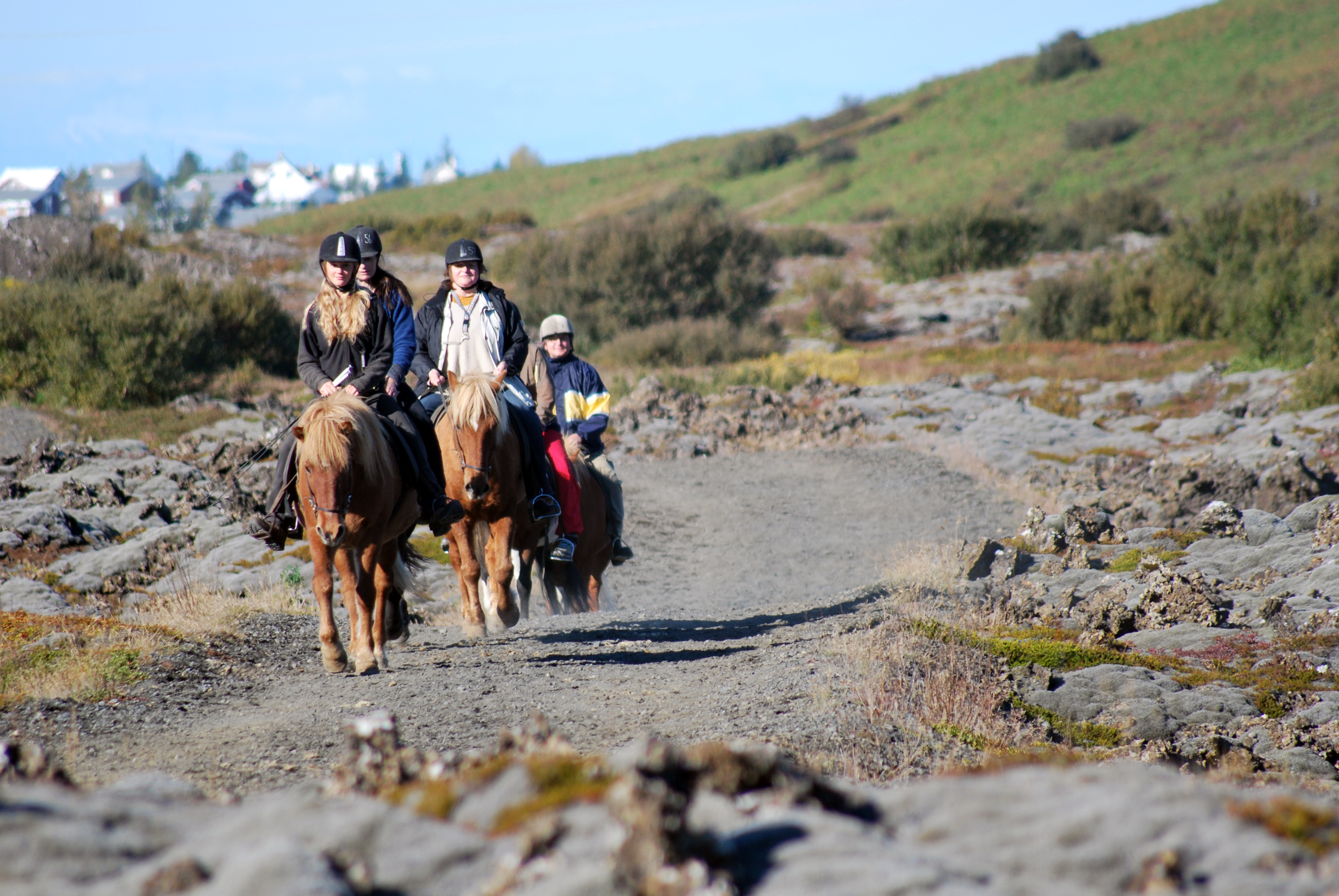 Lava Tour Horseback Riding | Reykjavik Excursions