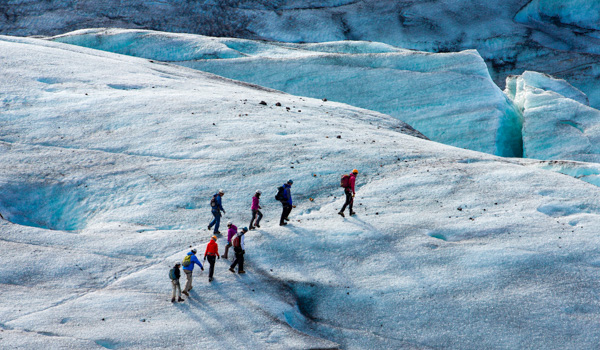 Group of hikers trekking across a vast glacier, dressed in colorful jackets, with icy blue crevices in the background.