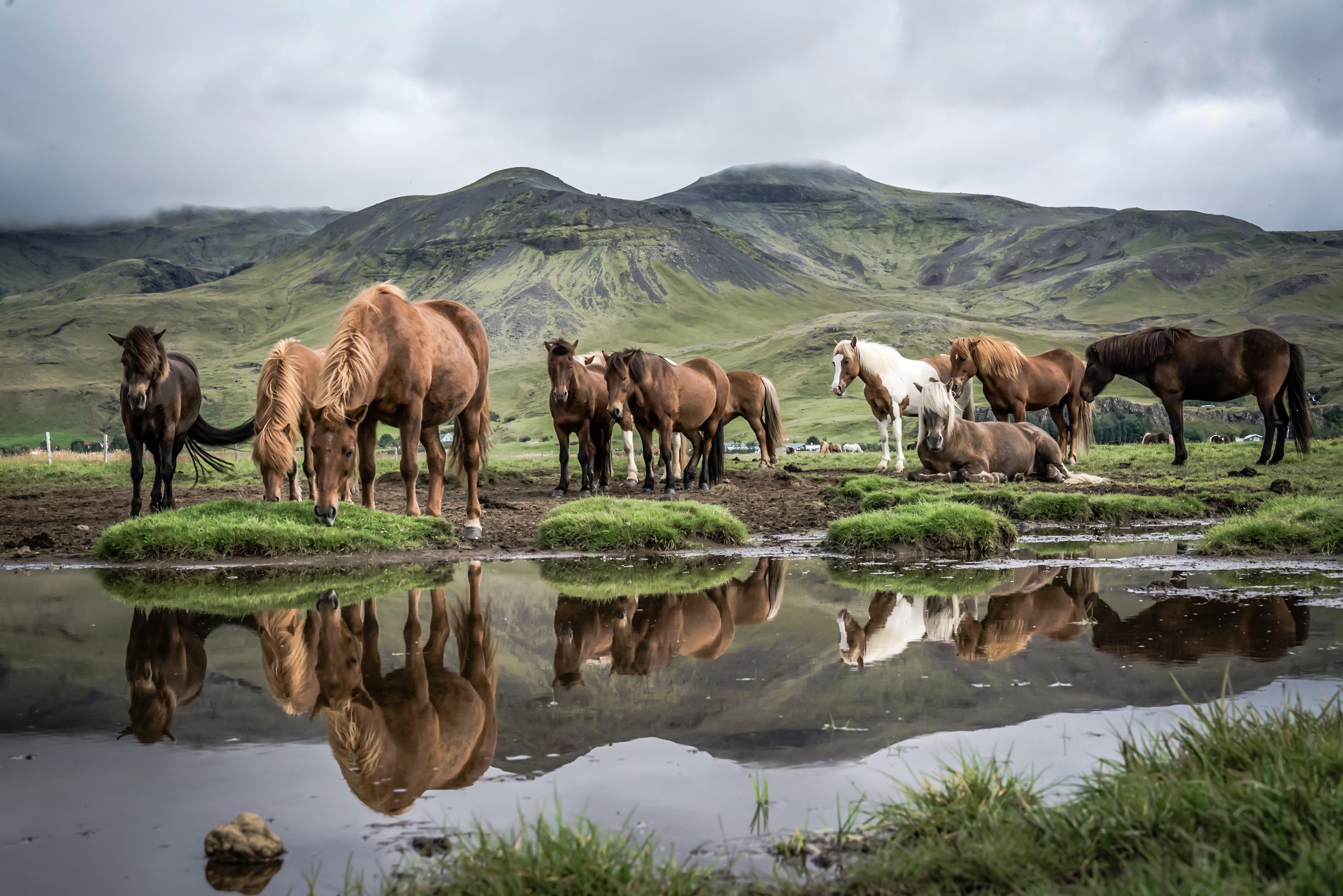 Lava Tour Horseback Riding | Reykjavik Excursions