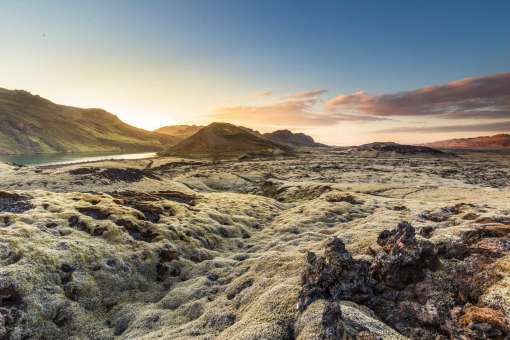 Reykjanes moss lava field