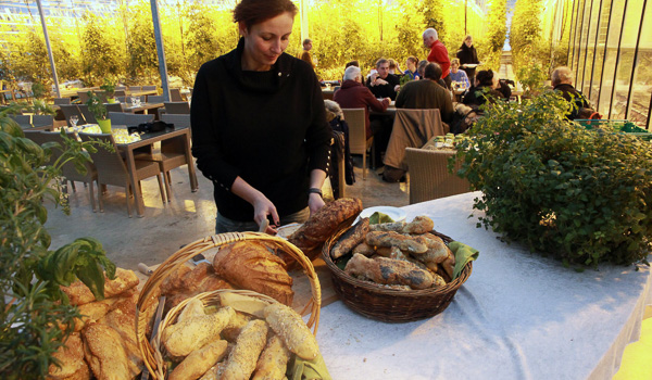 Woman preparing bread in Fridheimar tomato greenhouse restaurant, with customers dining among tomato plants in the background.