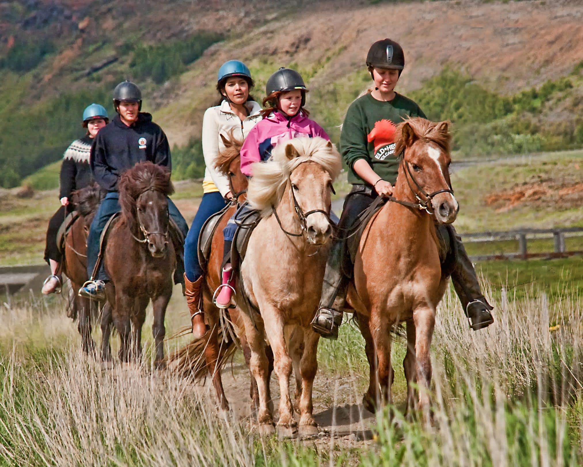 Tour ride. Iceland Horse riding.