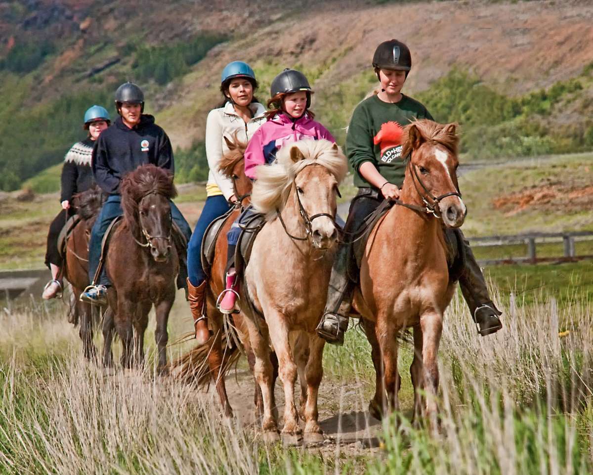 Golden Circle & Horse Riding