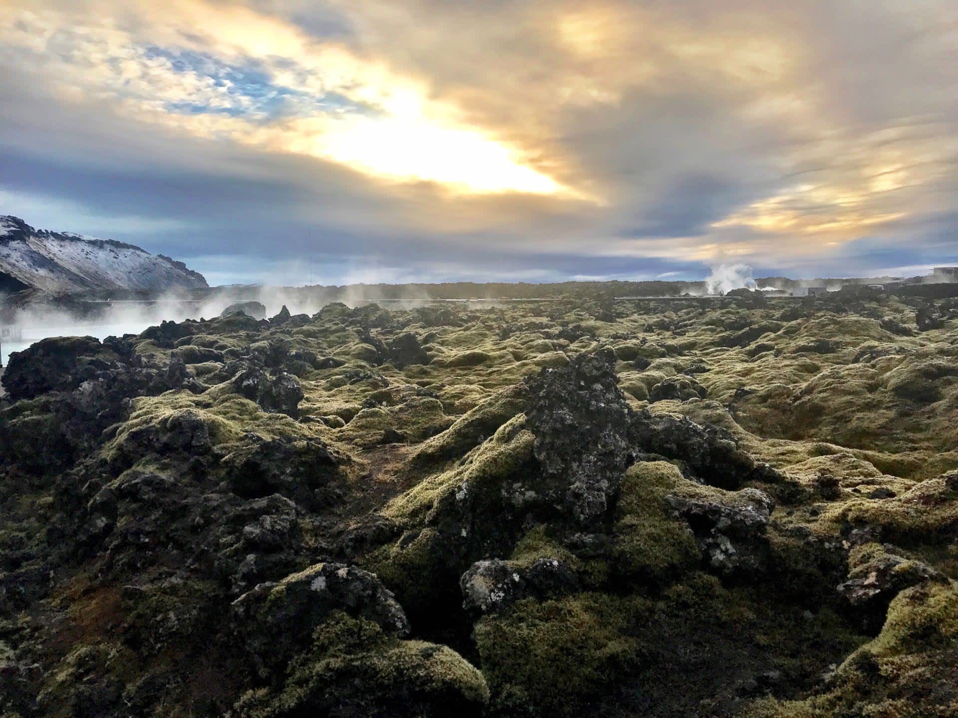 Reykjanes lava field