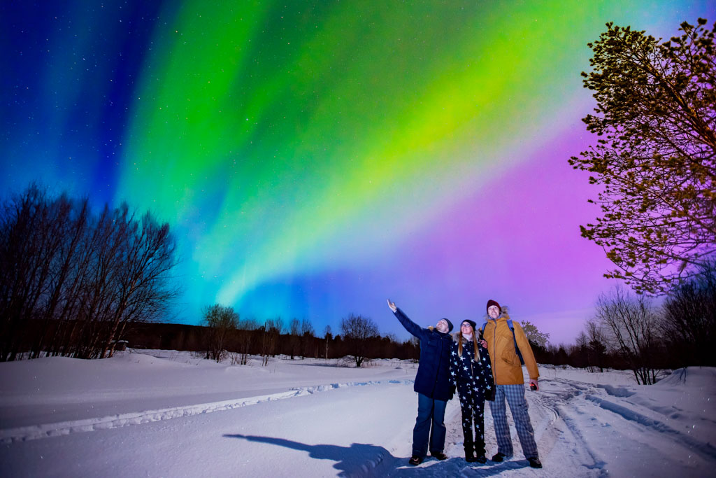 northern lights bus