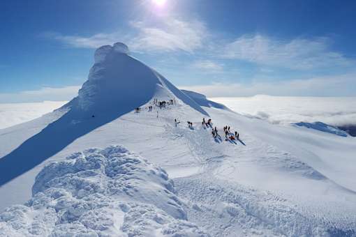 The Summit