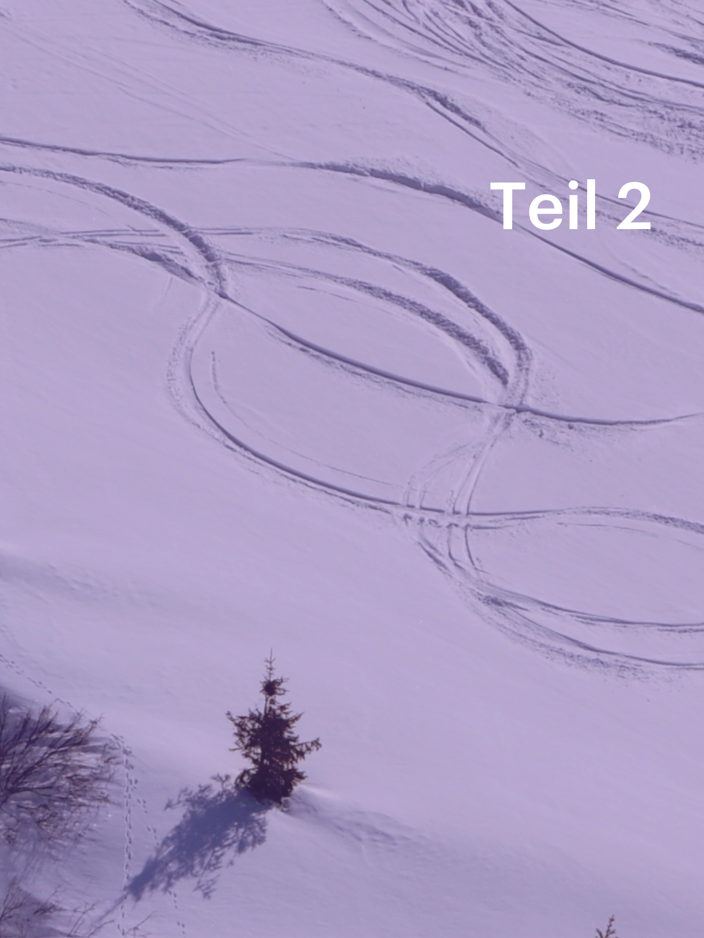 Ein verschneiter Hang 2