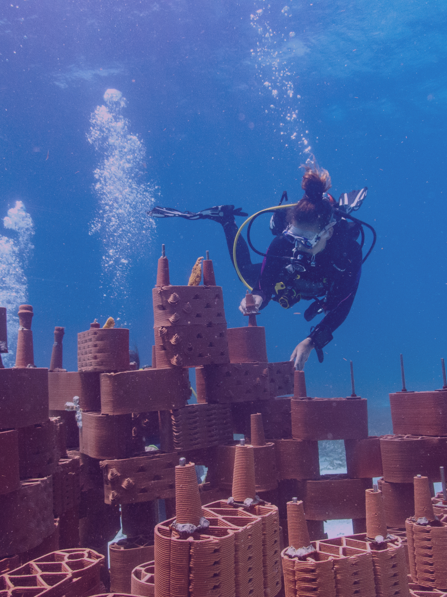 Header image: Marie Griesmar taucht zu den Riffen.