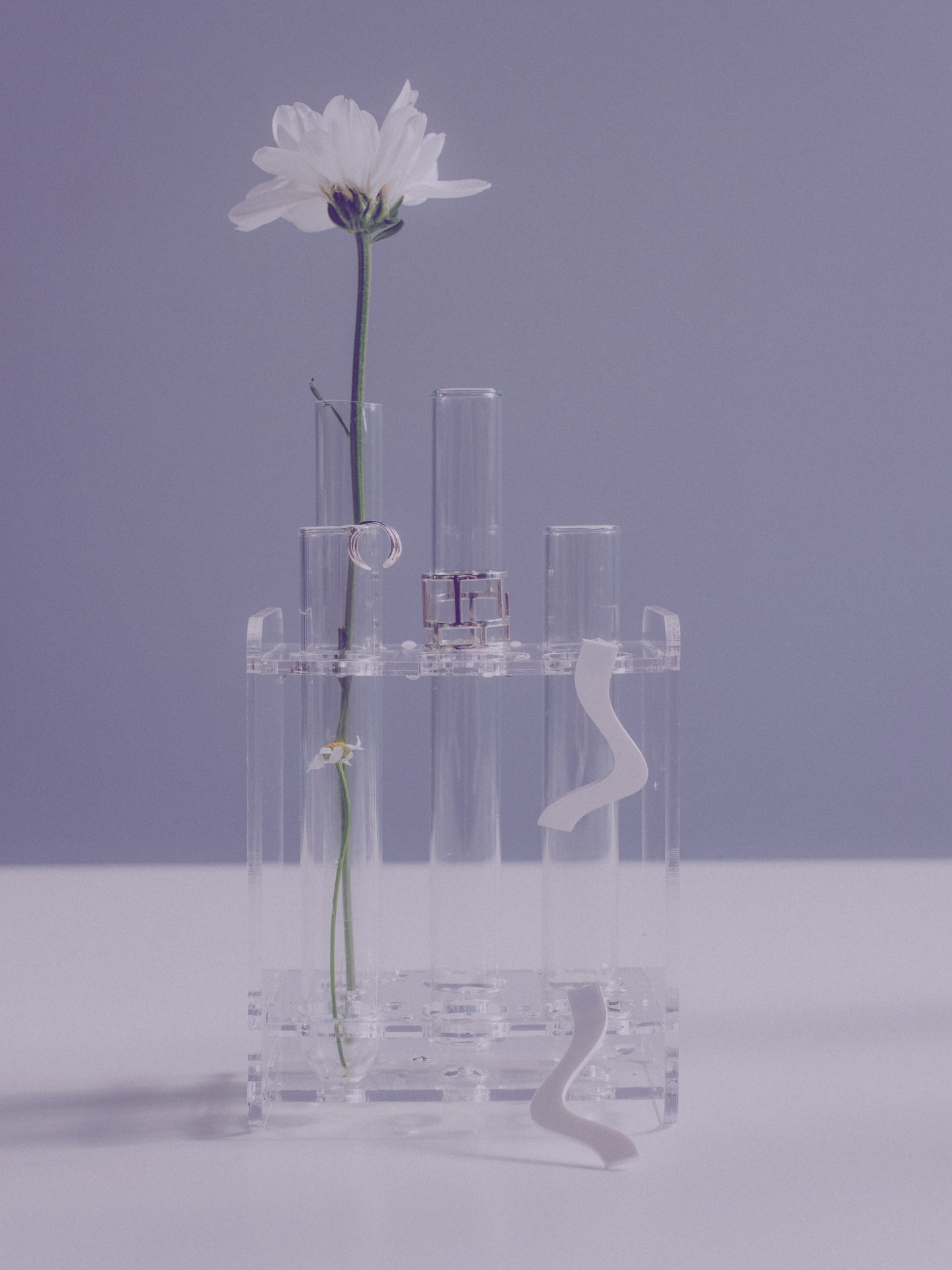 Eine Blume, die aus einem Labor-Glas wächst 