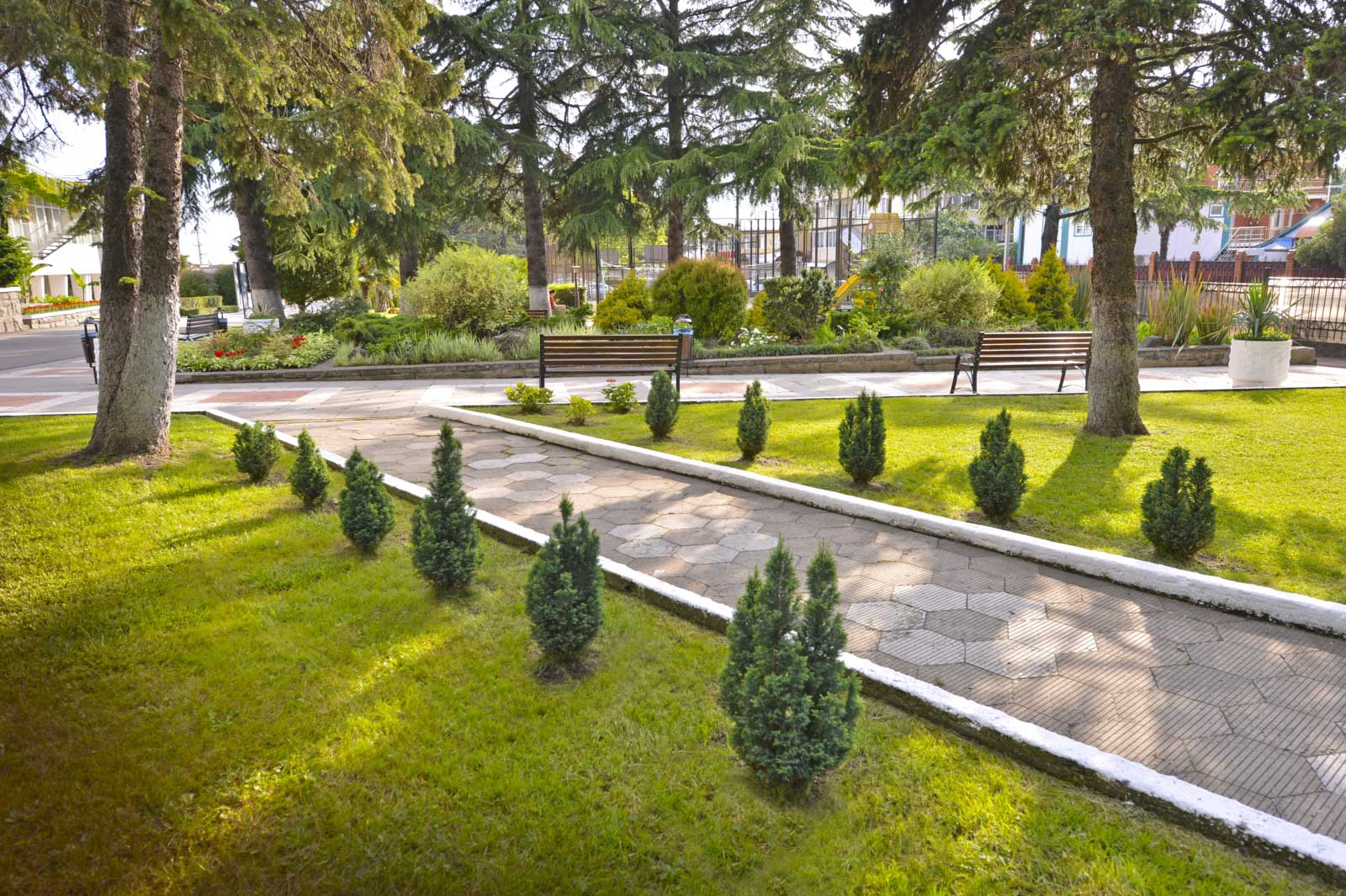 Санаторий Бирюза Сочи - сквер с прогулочной дорожкой