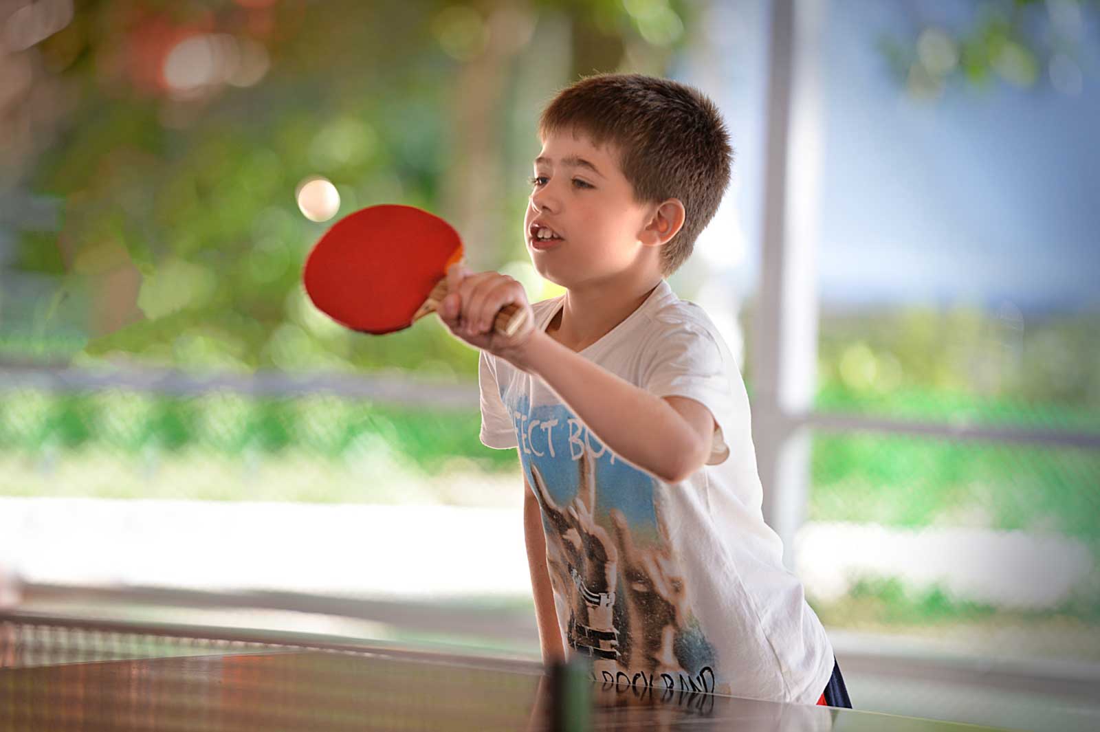 Настольный теннис