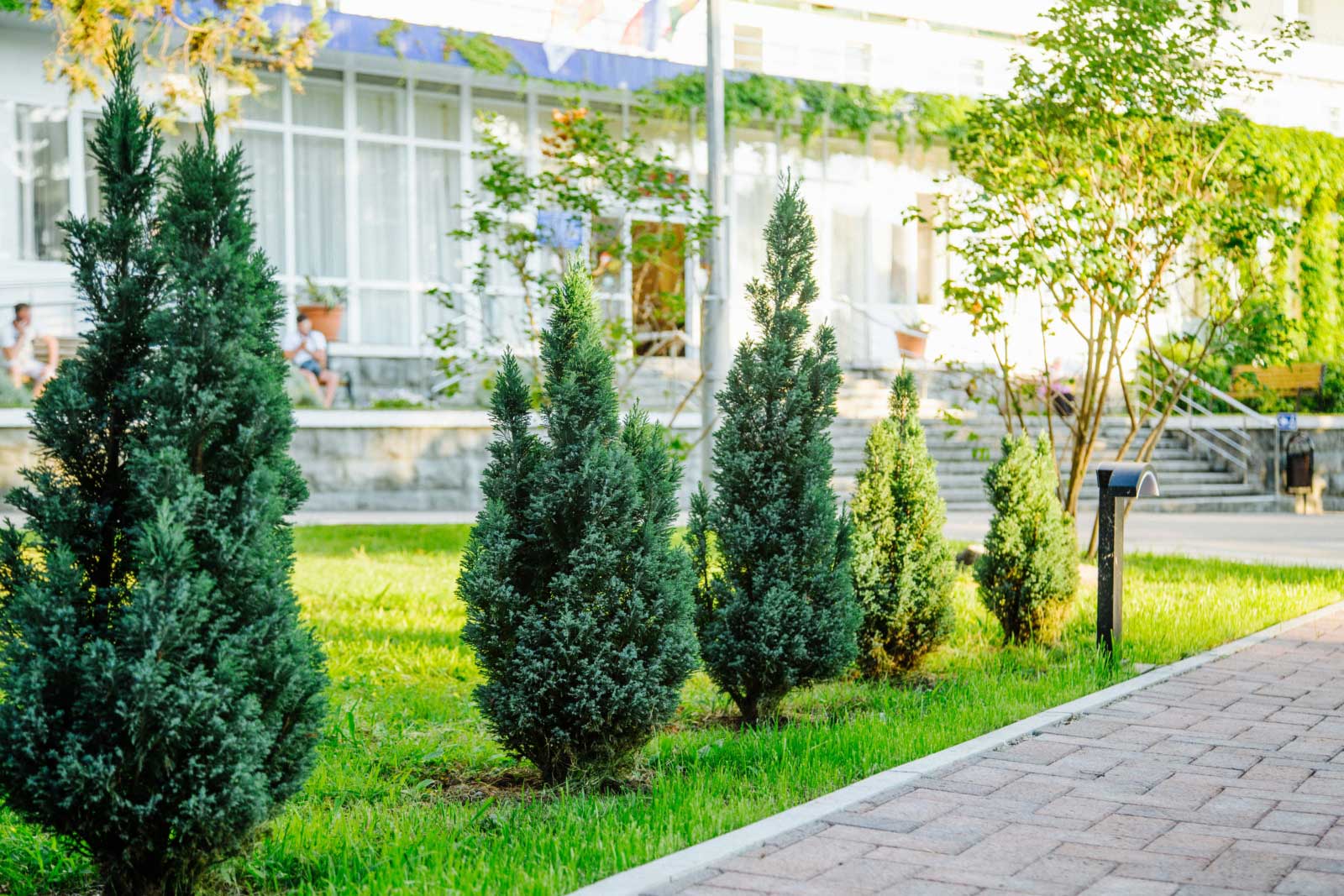 Санаторий Бирюза Сочи территория