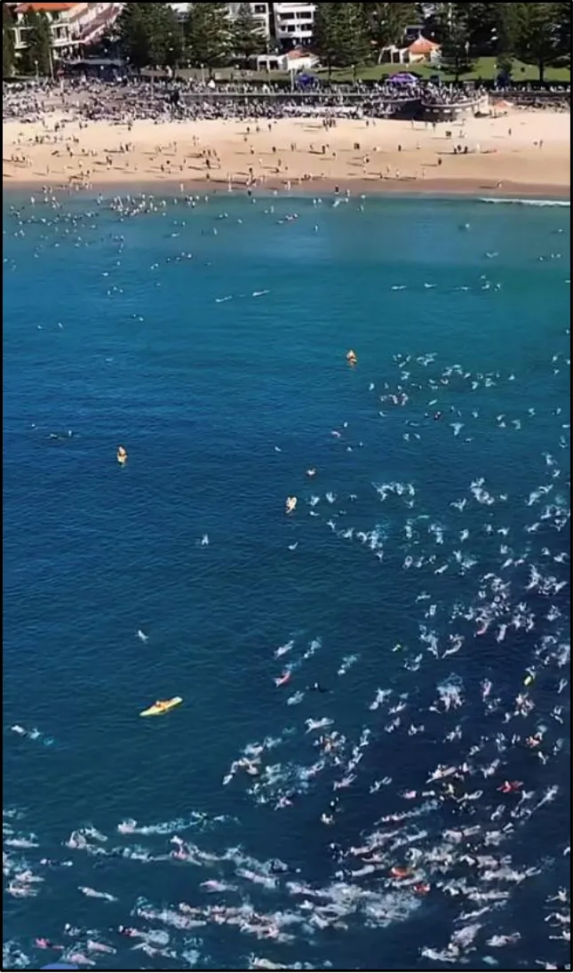 CoogeeBeachSwim2026