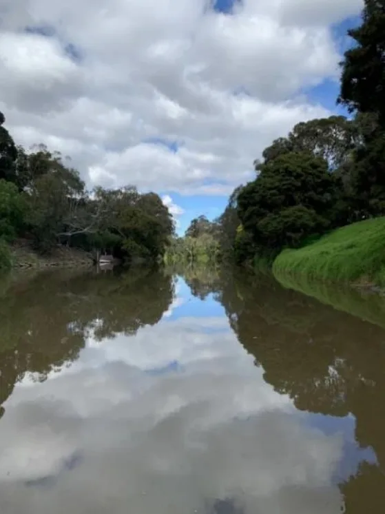 Yarra Swimming History