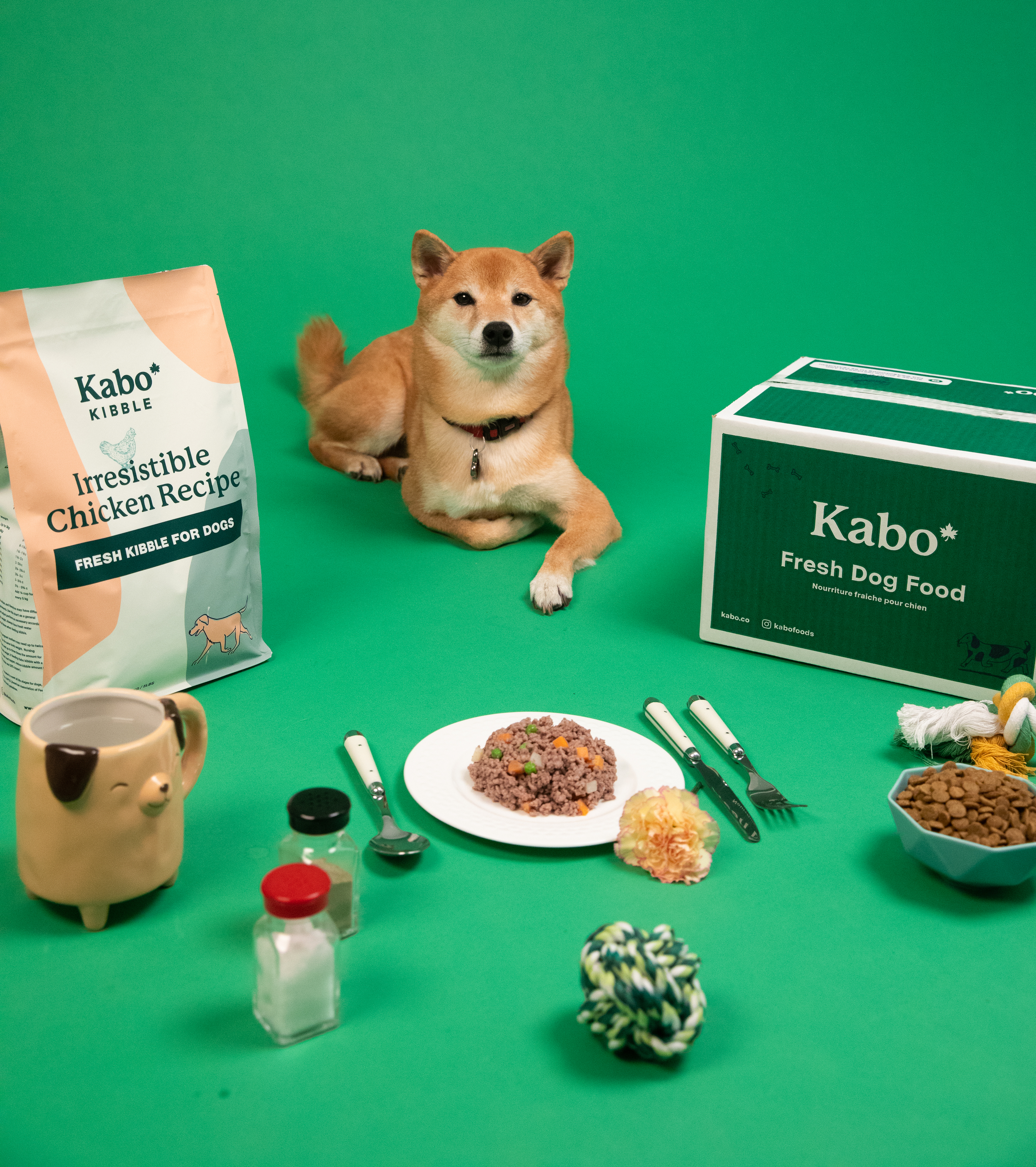 kabo-fresh-dog-food