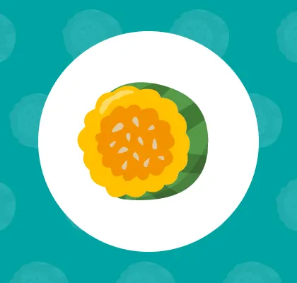 Acorn squash icon