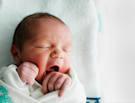 Pampers baby dry pants 6 - Nehmen Sie dem Sieger der Redaktion