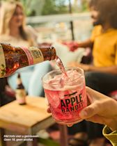 Apple Bandit Raspberry HEINEKEN Horeca - Apple Bandit cider