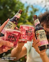 Apple Bandit Raspberry HEINEKEN Horeca - Apple Bandit cider