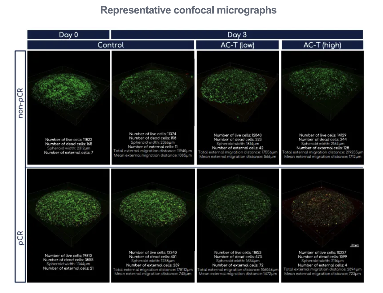 Plot example - image