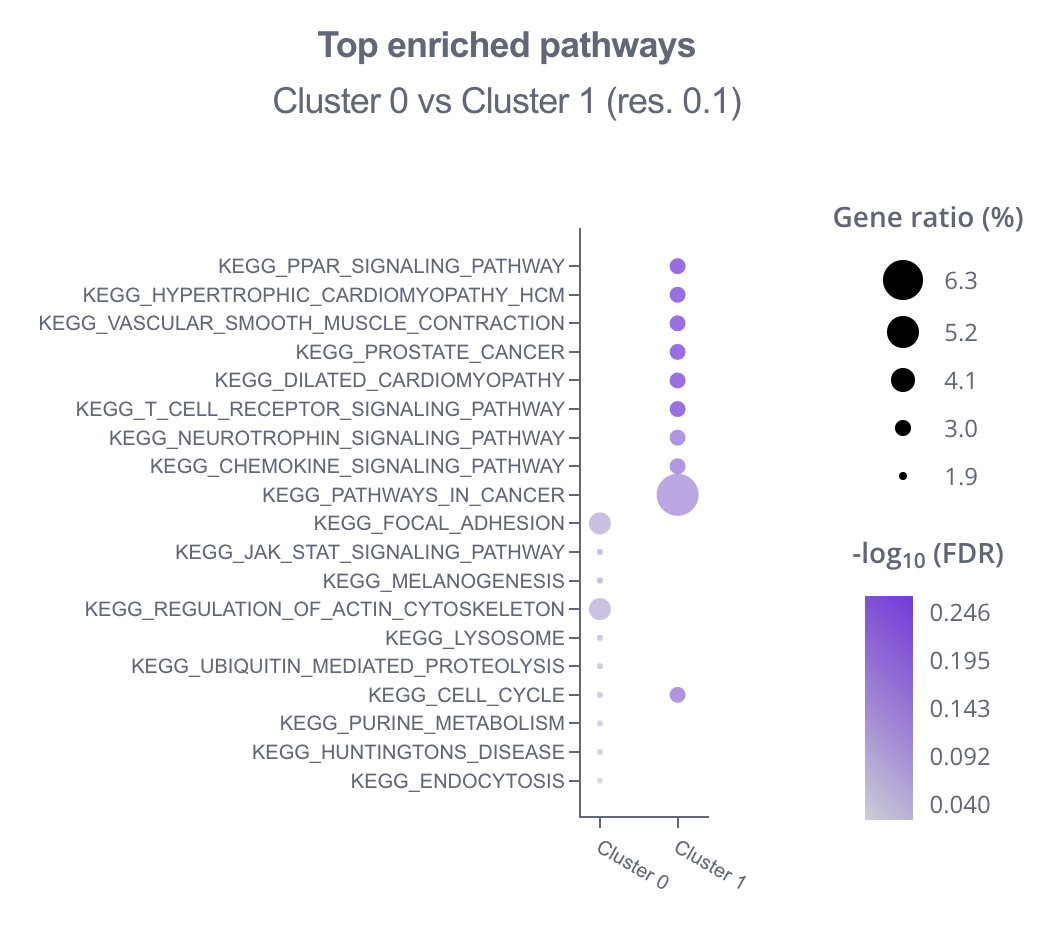 Plot example - dot plot (ORA, scRNA-seq)