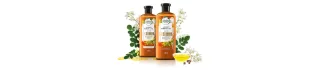 Shampoo Aceite de Moringa Dorada | Herbal Essences