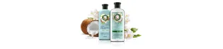 Nuestra colección de productos Herbal Essences de agua de coco y jazmín