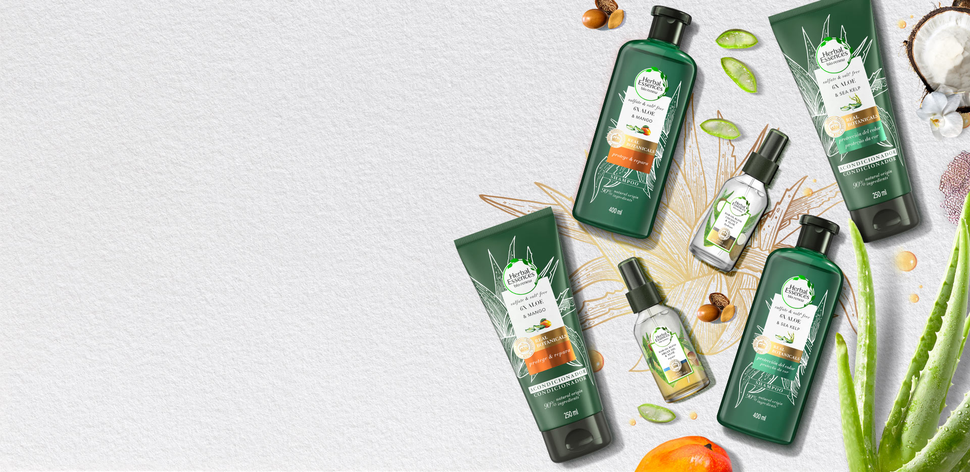 Nueva línea sin sales ni sulfatos con 6 veces más aloe
