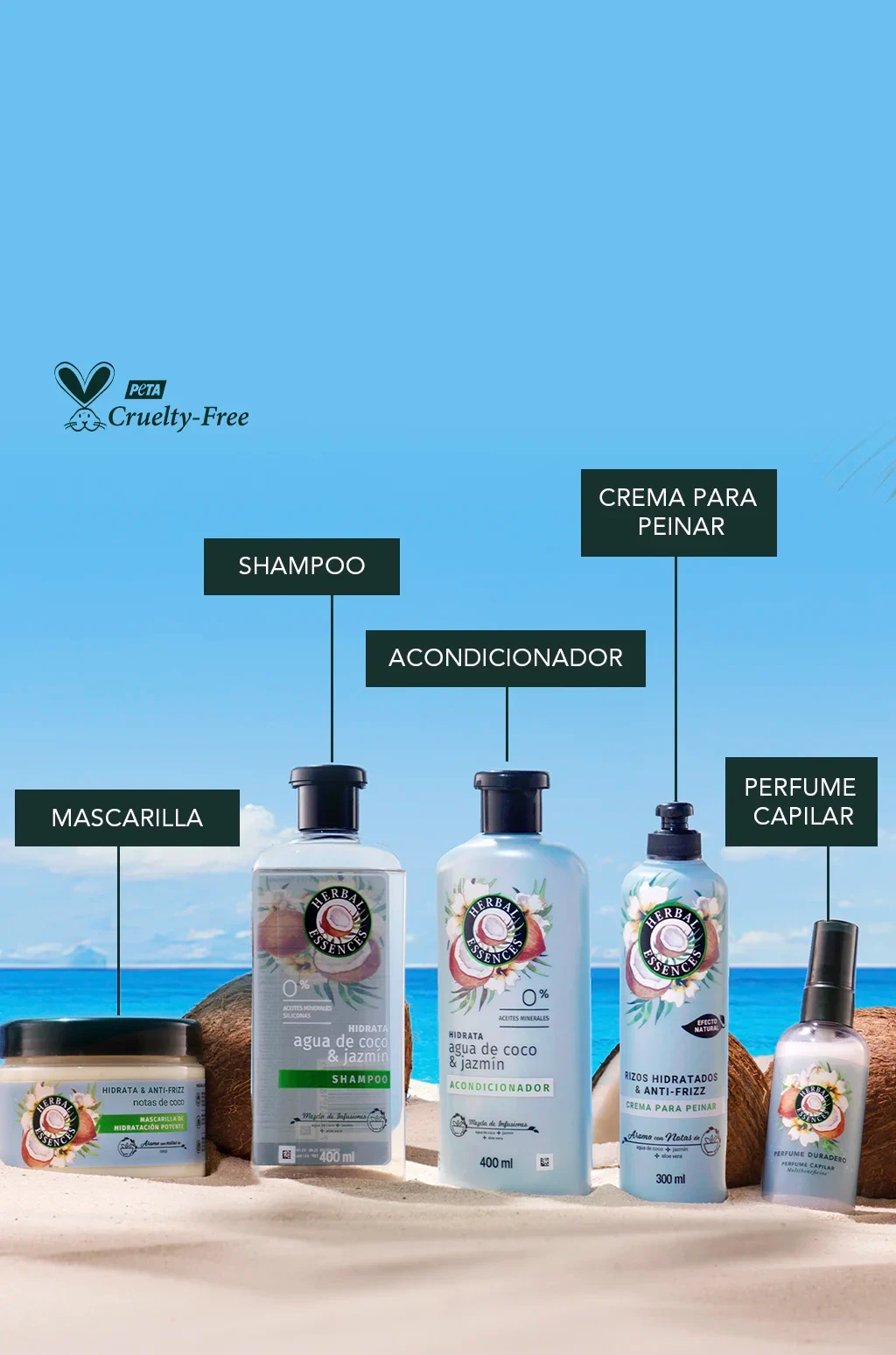 La colección completa de Agua de Coco en la playa y cocos alrededor