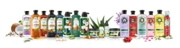 Botellas de las principales colecciones de shampoo y acondicionador Herbal Essences