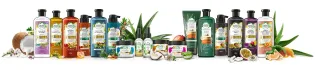 shampoos y acondicionadores Herbal Essences para cuidar el cabello