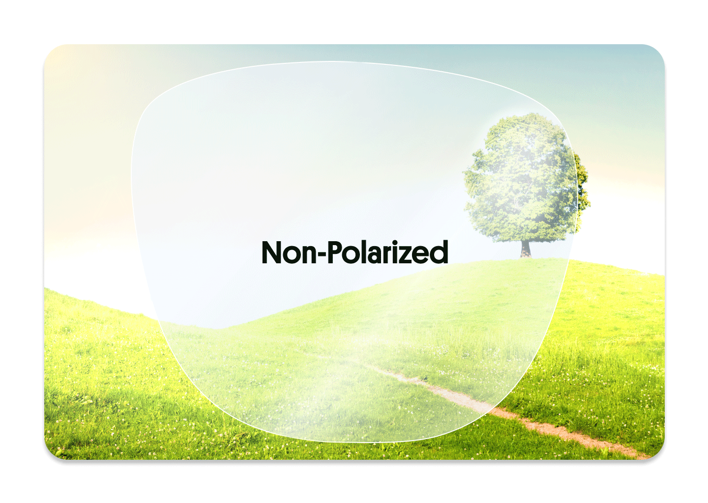 04-GIF-Polarized-vs Desktop