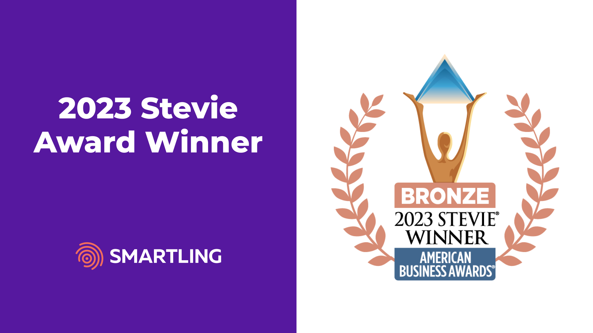 2Q230502 - 2023 Stevie Award Winner (1200x675)