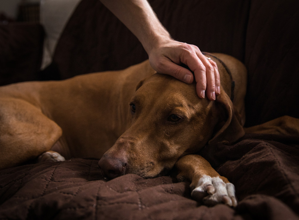 Meet Jean-Francois | New York, NY - Smartling