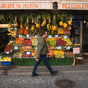 Taner | Istanbul, Tyrkiet