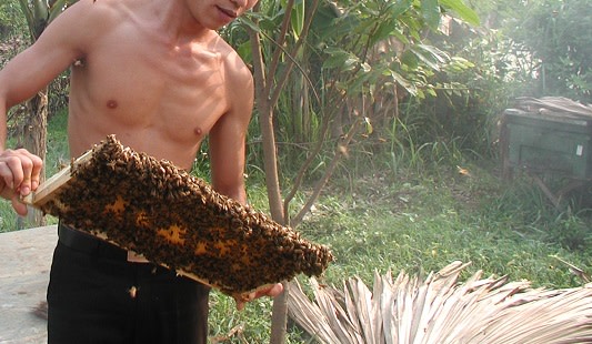 ong1