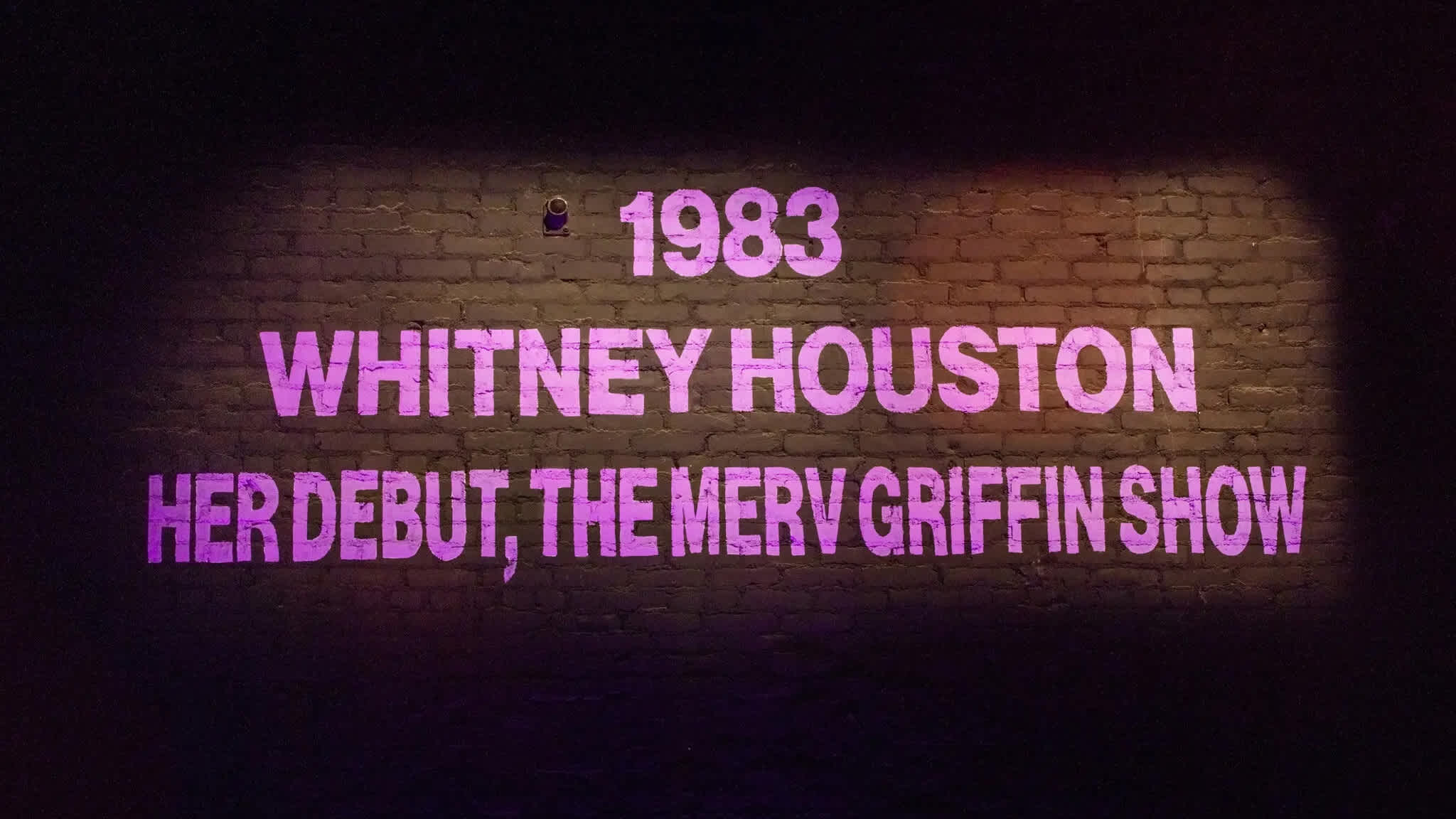 E. Jane, “1983, Whitney Houston, Her Debut, The Merv Griffin Show,” 2022. Photo: E. Jane; Jason Mandella, via The Kitchen