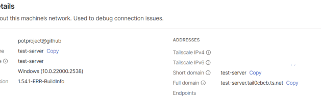 tsnetを使ってTailScale VPN内部にGoのWebアプリケーションを公開する