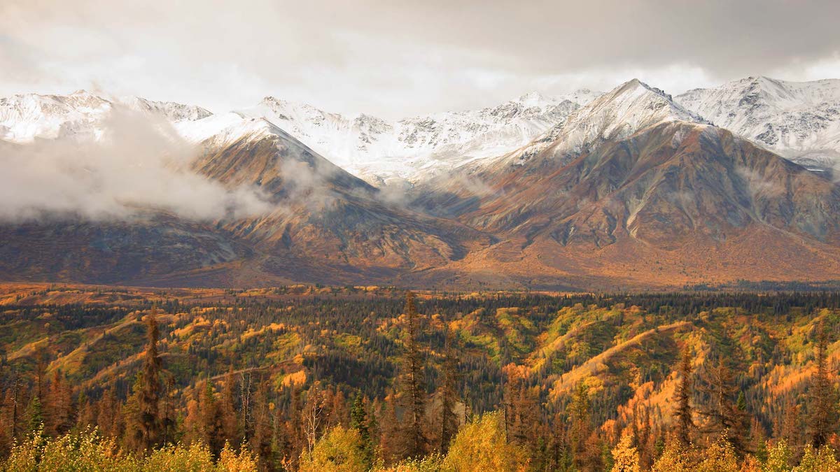 Autumn in Yukon