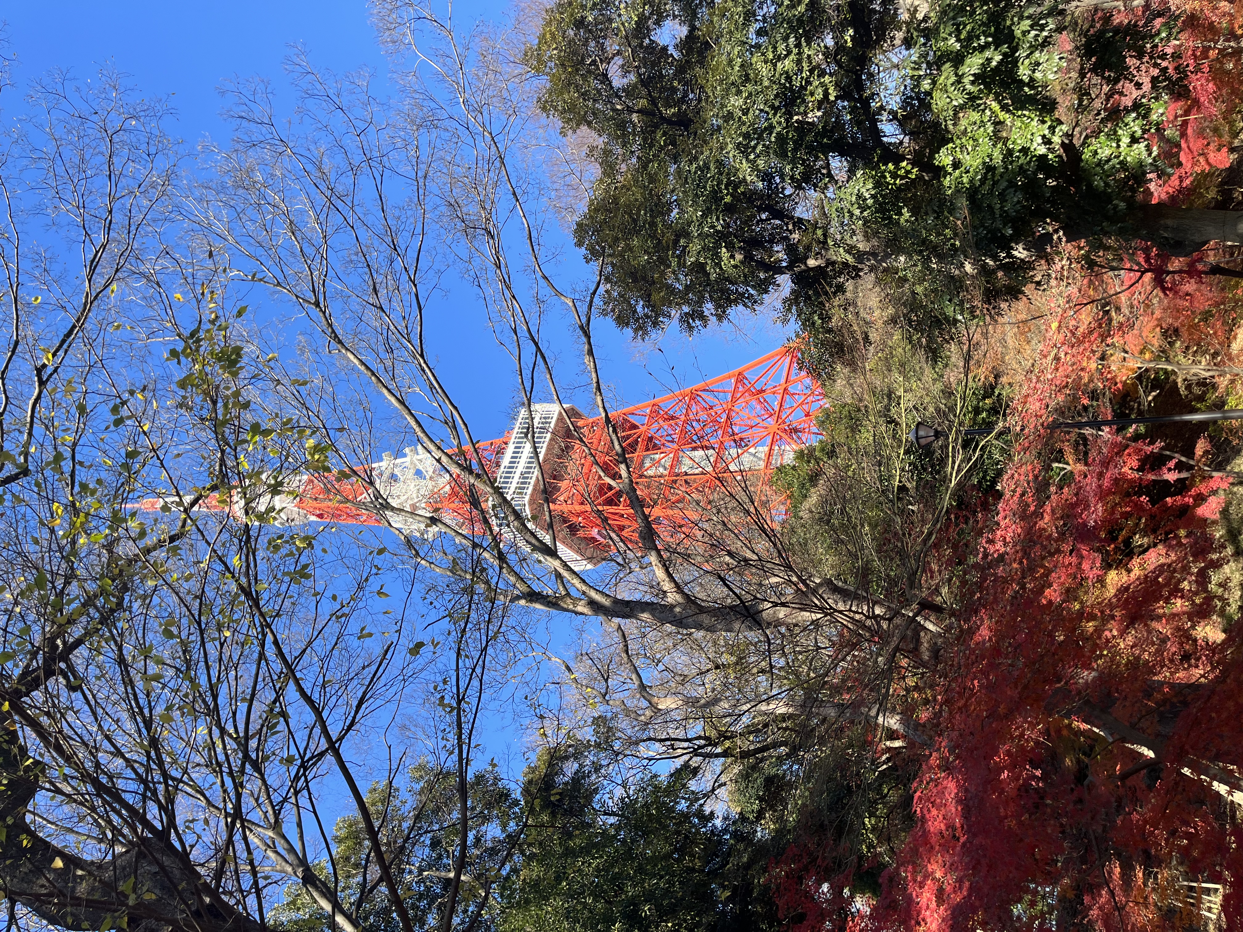 体験記】『東京タワーと四十五秒の時間旅行』に参加してみた感想【ネタバレ無し】 | ナゾ広場