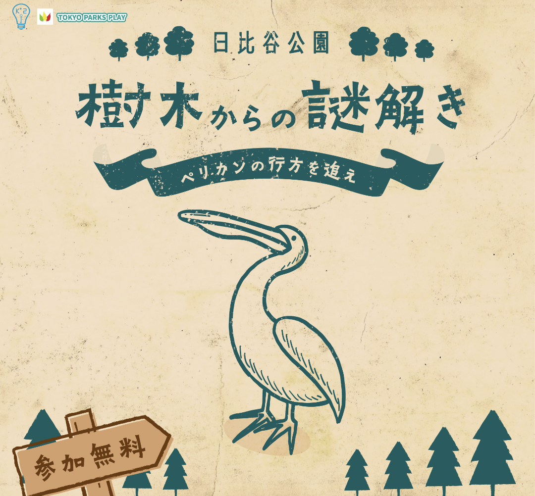 【体験記】樹木からの謎解き〜ペリカンの行方を追え〜に参加してみた感想【ネタバレ無し】