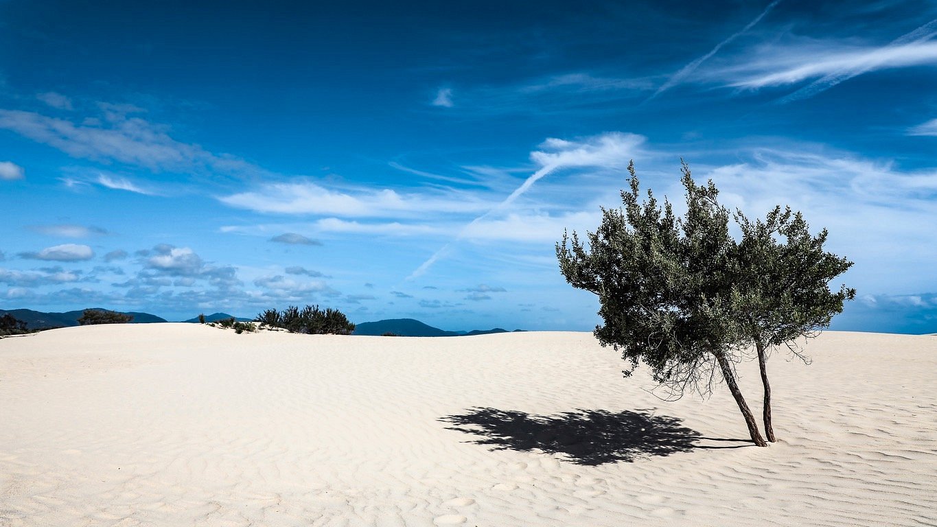 Play among the dunes at the The Big Drift, Wilsons Promontory 