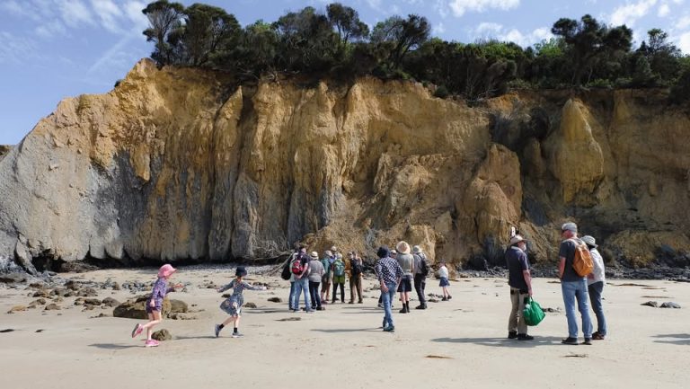 Walkerville Coastal Geology Beach Walk