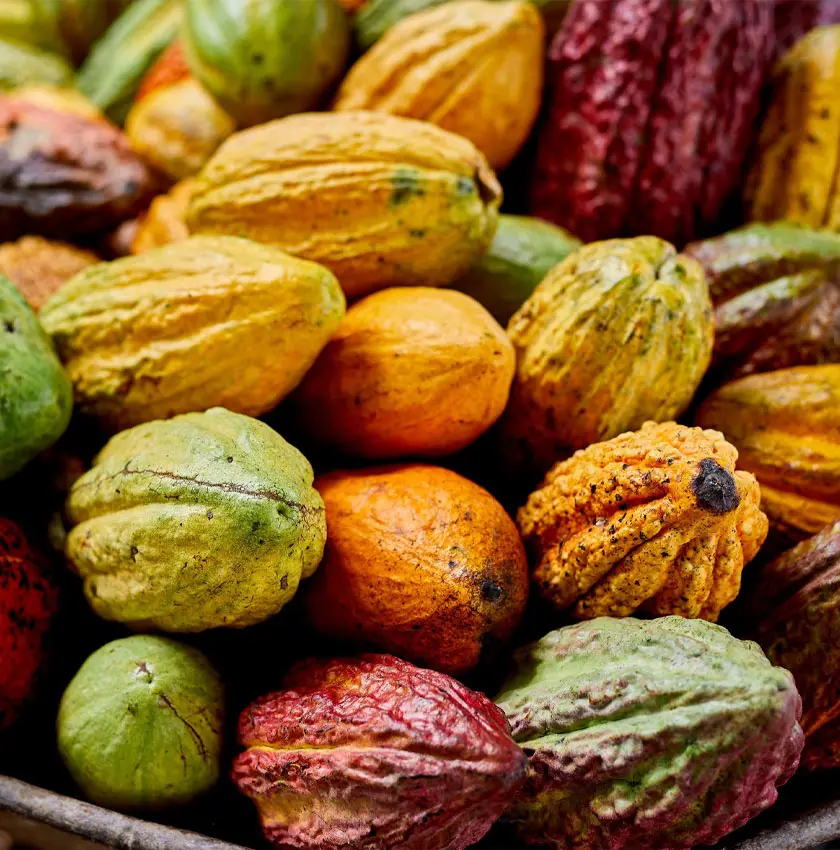 Les Éclats du Chocolat 2025 : le triomphe des artisans du cacao au Salon du Chocolat